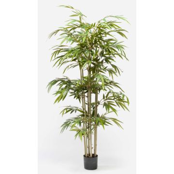 Bambú artificial TAMANE, troncos naturales, 180cm Bambú artificial TAMANE, troncos naturales, 180cm