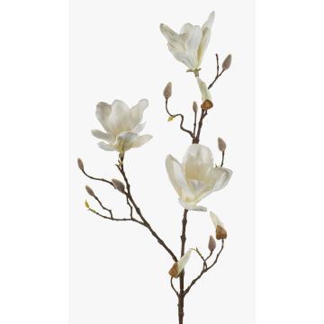 Magnolia de plástico MALVAO, crema, 90cm Magnolia de plástico MALVAO, crema, 90cm