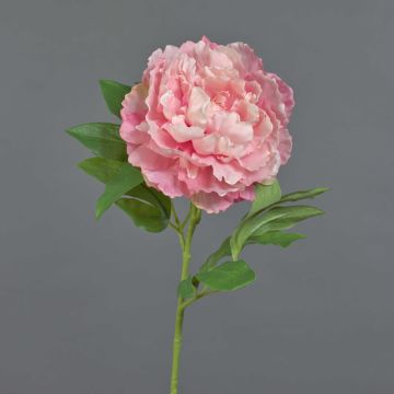 Peonía sintética DIVIN, rosa, 65cm