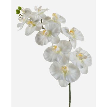 Rama artificial de orquídea Phalaenopsis ANAT, crema, 100cm Rama artificial de orquídea Phalaenopsis ANAT, crema, 100cm