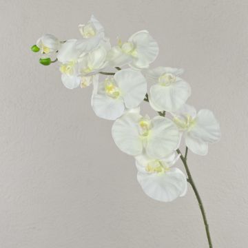 Rama artificial de orquídea Phalaenopsis ANAT, crema, 100cm