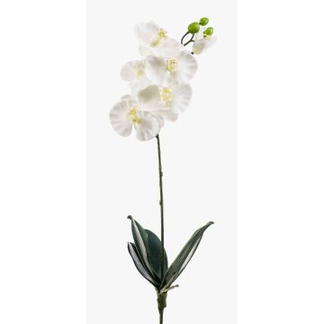 Orquídea Phalaenopsis de plástico ISIS, con palo, blanco, 60cm Orquídea Phalaenopsis de plástico ISIS, con palo, blanco, 60cm