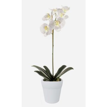 Orquídea de plástico Phalaenopsis ISIS, maceta de cerámica, blanca, 55 cm