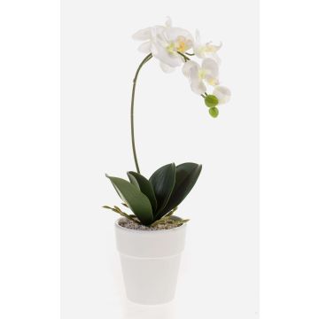 Orquídea de plástico Phalaenopsis ISIS, maceta de cerámica, blanca, 40 cm Orquídea de plástico Phalaenopsis ISIS, maceta de cerámica, blanca, 40 cm