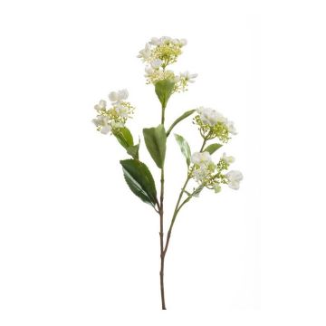 Hortensia falsa ALAZNE, crema, 75cm