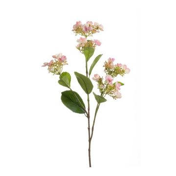 Hortensia falsa ALAZNE, rosa, 75cm