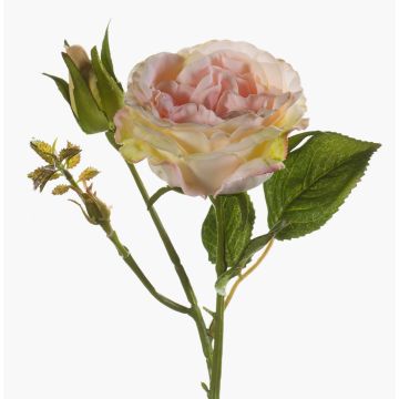 Rosa artificial CESCA, rosa-amarillo, 40cm