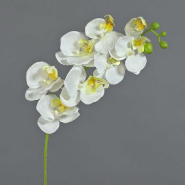 Rama de orquídea Phalaenopsis de imitación MINA, blanca, 70cm