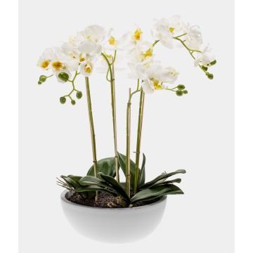 Orquídea artificial Phalaenopsis MINA en maceta de cerámica, blanca, 60 cm Orquídea artificial Phalaenopsis MINA en maceta de cerámica, blanca, 60 cm