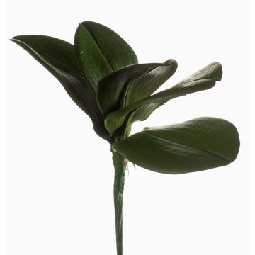 Rama de orquídea Phalaenopsis de plástico NIUT, con palo, verde, 25cm Rama de orquídea Phalaenopsis de plástico NIUT, con palo, verde, 25cm