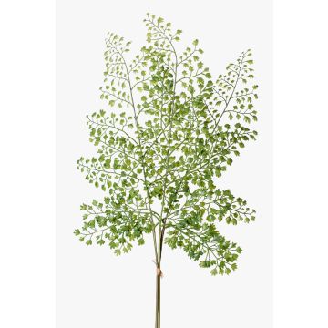 Rama de helecho artificial adiantum HALIMA, verde, 60cm