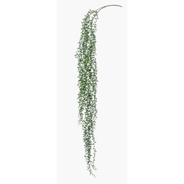 Senecio de plástico colgante AREQUIPA con palo, verde, 95cm Senecio de plástico colgante AREQUIPA con palo, verde, 95cm