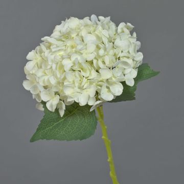 Hortensia de plástico EGIA, crema, 50cm