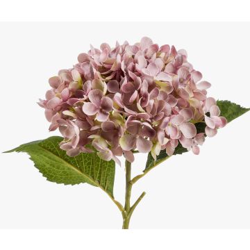 Hortensia de plástico EGIA, rosa, 50cm Hortensia de plástico EGIA, rosa, 50cm