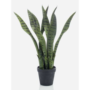 Planta falsa Sansevieria POLIANA, verde, 50cm Planta falsa Sansevieria POLIANA, verde, 50cm