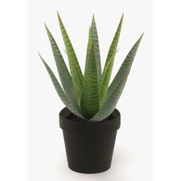 Planta artificial Aloe Variegata MARTINEZ, verde, 25cm, Ø17cm Planta artificial Aloe Variegata MARTINEZ, verde, 25cm, Ø17cm