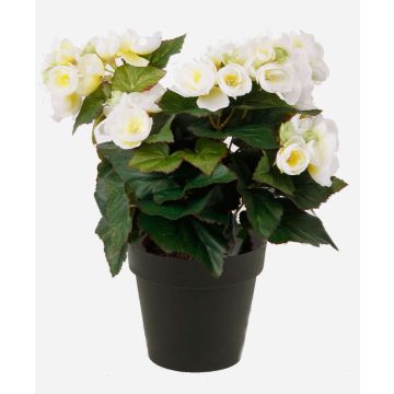Begonia de plástico DOBRADA, crema, 30cm