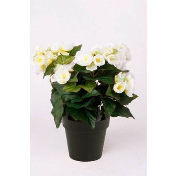Begonia de plástico DOBRADA, crema, 30cm