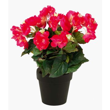 Begonia de plástico DOBRADA, rosa, 30cm