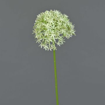 Allium de plástico ARNAU, verde crema, 60cm