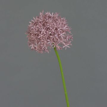 Allium de plástico ARNAU, violeta, 60cm