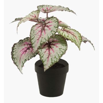 Begonia de hoja pintada sintética MEIRA, verde-rosa, 25cm Begonia de hoja pintada sintética MEIRA, verde-rosa, 25cm