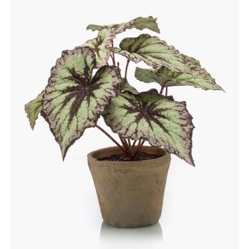 Planta artificial de begonia de hoja MEIRA en maceta de terracota, verde-violeta, 25cm Planta artificial de begonia de hoja MEIRA en maceta de terracota, verde-violeta, 25cm