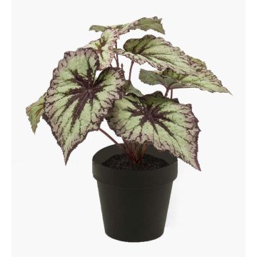 Begonia de hoja pintada sintética MEIRA, verde-violeta, 25cm Begonia de hoja pintada sintética MEIRA, verde-violeta, 25cm