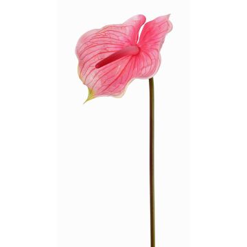 Flor artificial de flamenco MOIRA, fucsia-rosa, 75cm, 13x18cm Flor artificial de flamenco MOIRA, fucsia-rosa, 75cm, 13x18cm