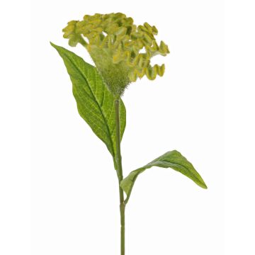 Flor artificial «cresta de gallo» ANUBIS, verde-amarillo, 60 cm, Ø 14 cm Flor artificial «cresta de gallo» ANUBIS, verde-amarillo, 60 cm, Ø 14 cm