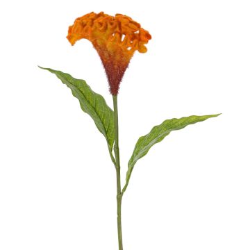 Flor artificial «cresta de gallo» ANUBIS, naranja, 60 cm, Ø 14 cm Flor artificial «cresta de gallo» ANUBIS, naranja, 60 cm, Ø 14 cm