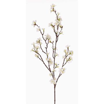 Rama de cerezo en flor artificial ARIELLE con flores, blanca, 100 cm, Ø 1,5-3,5 cm Rama de cerezo en flor artificial ARIELLE con flores, blanca, 100 cm, Ø 1,5-3,5 cm