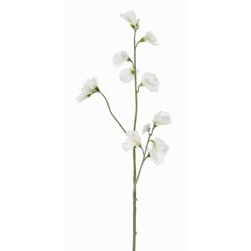 Flor decorativa Lathyrus ASFALOTH, blanca, 65 cm, Ø 3-5 cm Flor decorativa Lathyrus ASFALOTH, blanca, 65 cm, Ø 3-5 cm