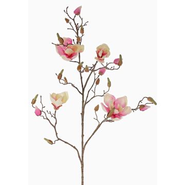 Magnolia sintética LORA, crema-rosa, 110cm, Ø10-12cm
