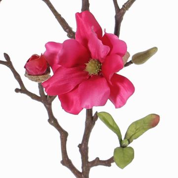Magnolia decorativa MARGA, rosa, 80 cm, Ø 7-8 cm Magnolia decorativa MARGA, rosa, 80 cm, Ø 7-8 cm