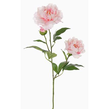 Peonía artificial ONYX, rosa crema, 75 cm, Ø 10-13 cm Peonía artificial ONYX, rosa crema, 75 cm, Ø 10-13 cm