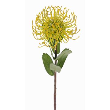Alfiletero artificial de protea BAILY, amarillo-verde, 55 cm, Ø 10 cm