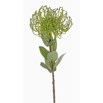 Alfiletero artificial de protea BAILY, verde, 55 cm, Ø 10 cm