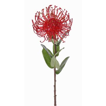 Alfiletero artificial Protea BAILY, rojo, 55 cm, Ø 10 cm Alfiletero artificial Protea BAILY, rojo, 55 cm, Ø 10 cm