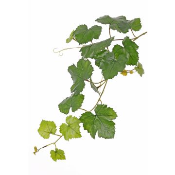 Rama de parra artificial BJON, crossdoor, verde, 60 cm Rama de parra artificial BJON, crossdoor, verde, 60 cm