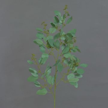 Rama decorativa de eucalipto COBAR, en flor, crossdoor, verde, 65 cm, Ø 1,5 cm Rama decorativa de eucalipto COBAR, en flor, crossdoor, verde, 65 cm, Ø 1,5 cm
