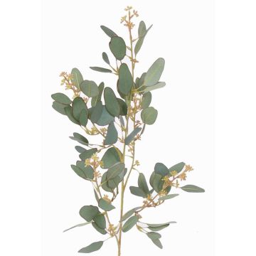 Rama decorativa de eucalipto COBAR, en flor, crossdoor, verde, 65cm, Ø1,5cm Rama decorativa de eucalipto COBAR, en flor, crossdoor, verde, 65cm, Ø1,5cm