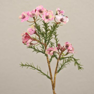 Flor de cera artificial AISHA, rosa, 27 cm, Ø 1-1,5 cm