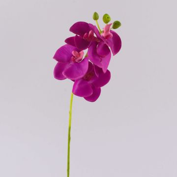 Rama decorativa de orquídea Phalaenopsis OPHELIA, rosa, 40 cm, Ø 7-8 cm Rama decorativa de orquídea Phalaenopsis OPHELIA, rosa, 40 cm, Ø 7-8 cm