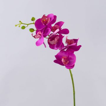Rama decorativa de orquídea Phalaenopsis OPHELIA, rosa, 80 cm, Ø 8-9 cm Rama decorativa de orquídea Phalaenopsis OPHELIA, rosa, 80 cm, Ø 8-9 cm
