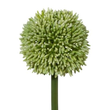 Flor artificial Allium MENKES, verde, 65cm Flor artificial Allium MENKES, verde, 65cm