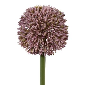 Flor artificial Allium MENKES, lila, 65 cm