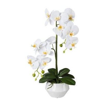 Orquídea Phalaenopsis artificial KASDA, maceta de cerámica, raíces, blanca, 50cm