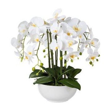Orquídea Phalaenopsis artificial KASDA, cuenco de cerámica, raíces, blanco, 55cm Orquídea Phalaenopsis artificial KASDA, cuenco de cerámica, raíces, blanco, 55cm