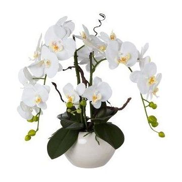 Arreglo floral de orquídea artificial y sauce retorcido LULUDI, maceta de cerámica blanca, raíces blancas, 55cm